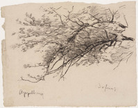 KT 1111
          <br/>
          Tak van de appelboom
          <br/>
          <em>Bastert, Nicolaas (1854-1939)</em>